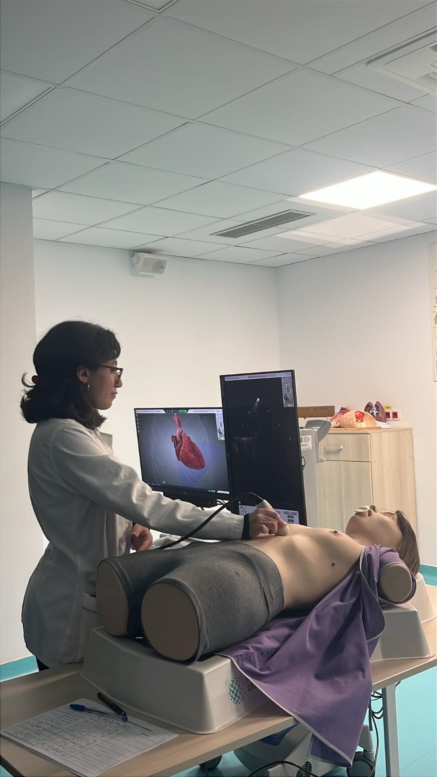 Échocardiographie sur simulateur