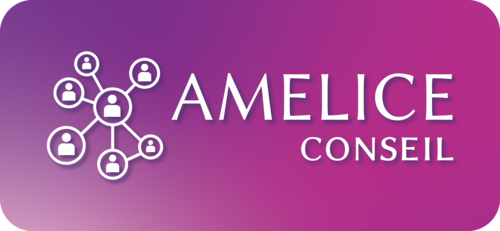 Amelice Conseil